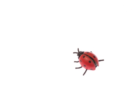 This is a photograph of a replica of the ladybug.の写真素材