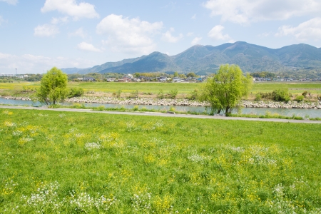 This is a picture of spring meadow and river.の写真素材