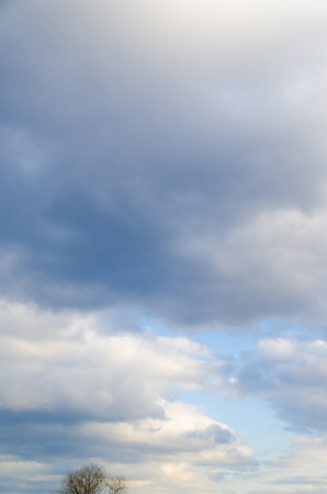 This is the cloudy sky of winter.の写真素材