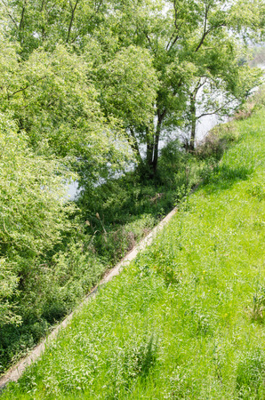 This is the scenery of a riverside of spring.の写真素材