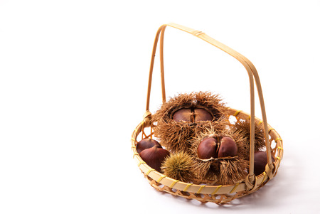 the chestnuts in a basket.の写真素材