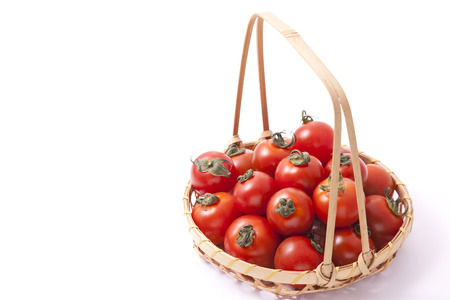 the tomatoes in a basket.の写真素材