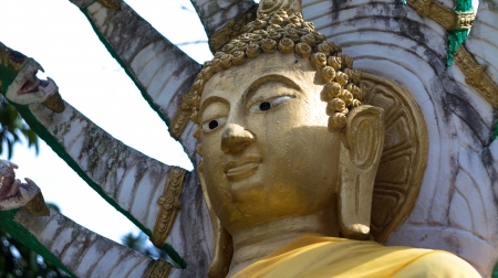 Buddha image 	