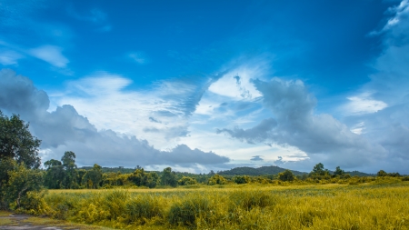 Meadowの写真素材