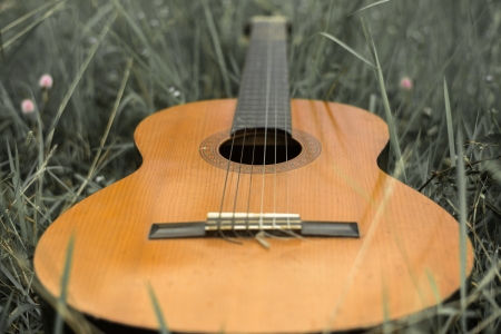 Guitar