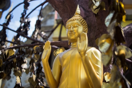 Buddha image の写真素材