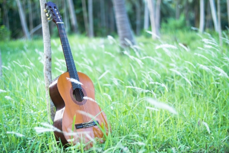 Guitarの写真素材