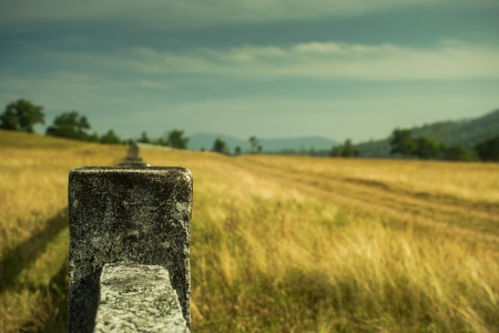 Mountain meadowの写真素材