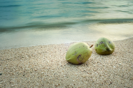 Coconut on the beachの写真素材