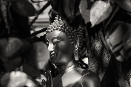 buddha statue black and whiteの写真素材