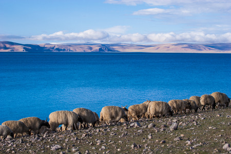 Nam Co lake,chinaの写真素材