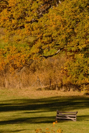 A gate without a fence in a glade on a sunny autumn dayの写真素材