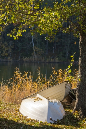Rowing boats on landの写真素材