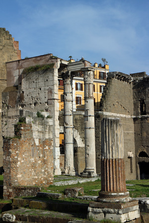 2014 29th March Columns of the imperial forums in the spring sunの写真素材