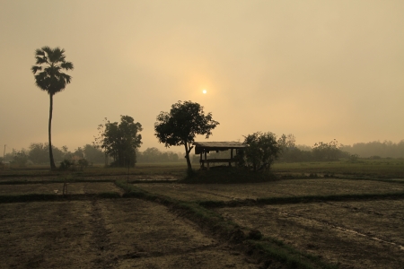 easy lifeの写真素材