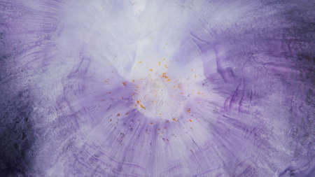 Abstract colorful background of spreading flowers. A unique screensaver picture. Background image. Acrylic paints. Alcohol ink.の写真素材