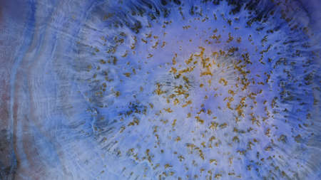 Abstract colorful background of spreading flowers. A unique screensaver picture. Background image....
