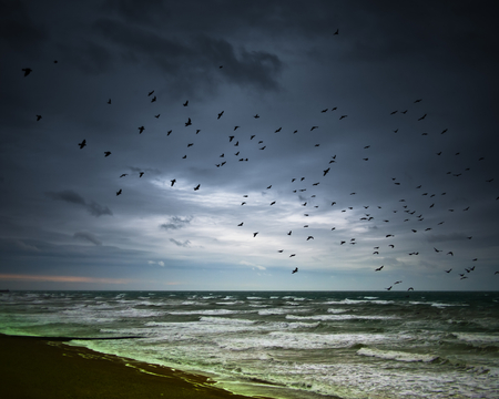 Birds flying over Brighton Beach