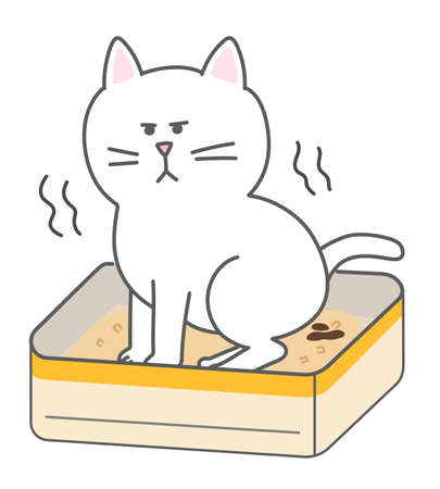 White cat had a bowel movement. Isolated on white background.のイラスト素材