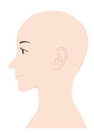 Mannequin of skinhead woman face without main lines. Vector illustration isolated on white background.のイラスト素材