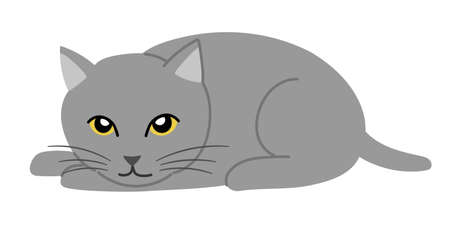 Gray cat lying face down. Vector illustration isolated on white background.のイラスト素材