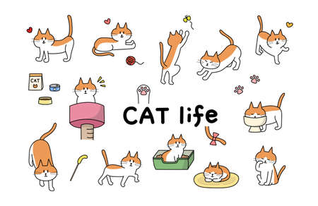 Set of the cat's daily life. Vector illustration isolated on white background.のイラスト素材