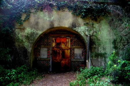 Mysterious doorの写真素材