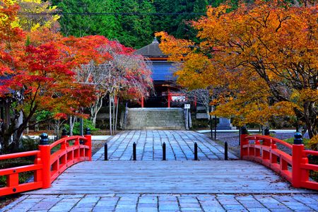 Autumn Leave at Japanese Temple, Koyasan.のeditorial素材