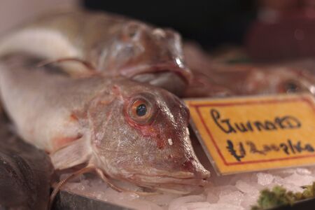 Fishmonger's display at Borough Market, London, England, United Kingdom