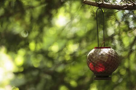 Red hanging lantern at Buddhapadipa Buddhist Temple, Wimbledon Parkside, London, England, United...