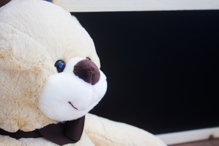 Close up teddy bear on blackboard with copy space for text.の写真素材