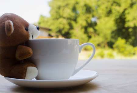teddy bear and white cup coffee on wood table on natrue bokeh background with copy space.の写真素材