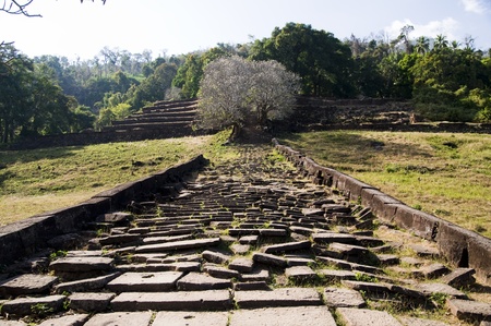 Way to Wat Phu, Laoの写真素材
