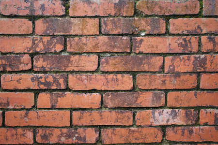 old brick wall textureの写真素材