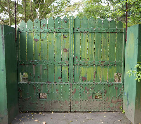 Textured grungy old green door の写真素材