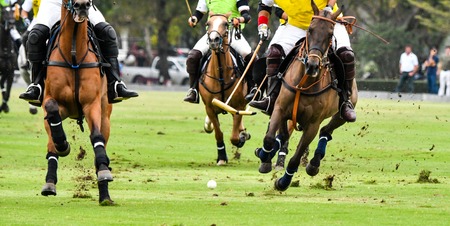 Horses Running In a Polo Game.の写真素材