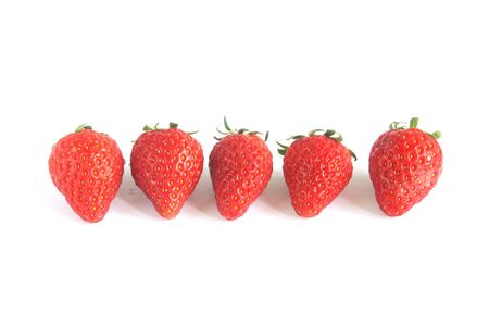 Strawberries Groupd in a Row Isolated on a white backgroundの写真素材