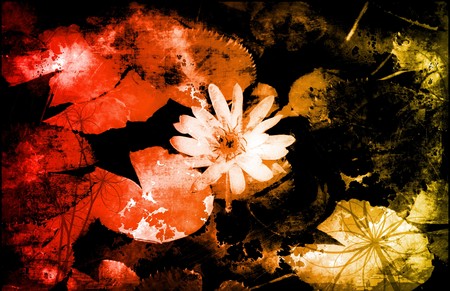 A Grunge Floral Decor Old Texture Backgroundの写真素材
