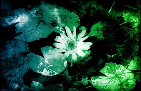 A Grunge Floral Decor Old Texture Backgroundの写真素材