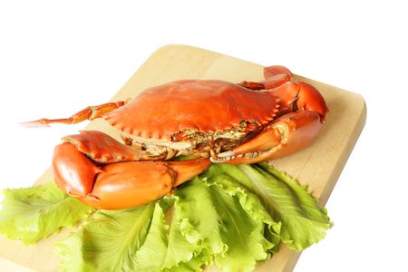Steamed Crab Seafood On a Chopping Blockの写真素材