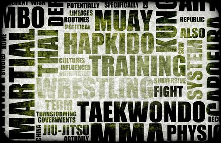 Tae Kwon Do Martial Arts as a Fighting Styleの写真素材