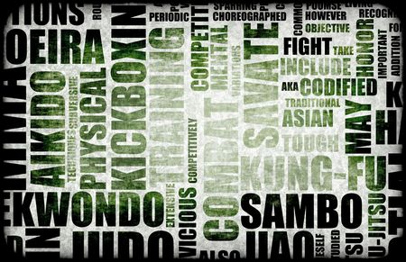 Sambo Martial Arts as a Fighting Styleの写真素材