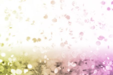 A Nostalgic Sweet Memory Falling Leaf Abstractの写真素材