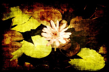 Soothing Zen Abstract as a Nature Backgroundの写真素材