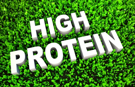 High Protein Diet Food as a Concept on Grassの写真素材