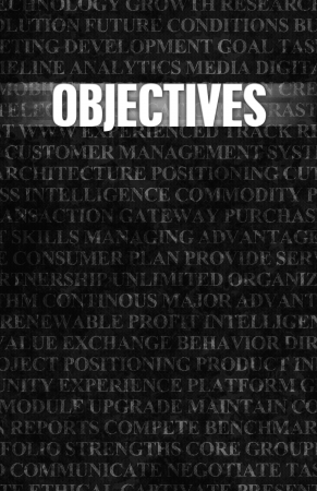 Objectives in Business as Motivation in Stone Wallの写真素材