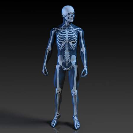 Human Body and Skeleton Anatomy Xray Concept Human Body and Skeleton Anatomy Xray Concept