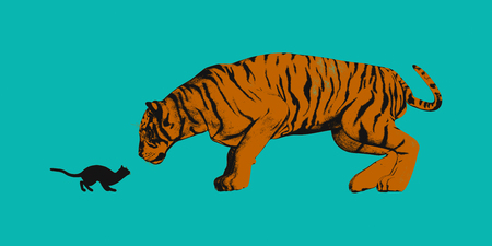 Cat Versus Tiger Ready to Fight or Take Onの写真素材