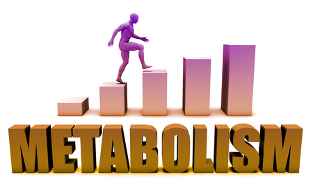Metabolism 3D Concept  in Blue with Bar Chart Graphの写真素材