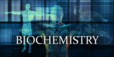 Biochemistry Medicine Study as Medical Conceptの写真素材